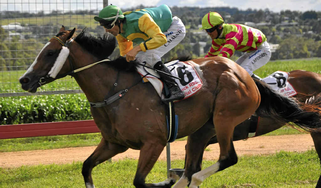 Number six, Lonesome Day, eases past second place-getter Fourth of July in race 5 at Allman Park yesterday. Number six, Lonesome Day, eases past second place-getter Fourth of July in race 5 at Allman Park yesterday.